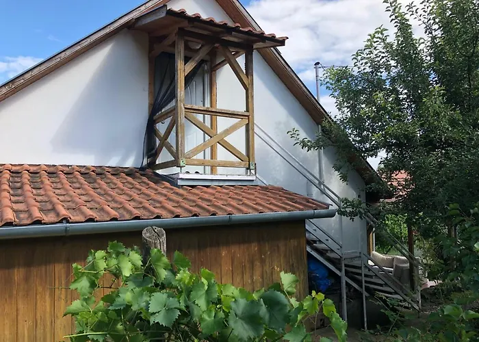 Szoloskert *